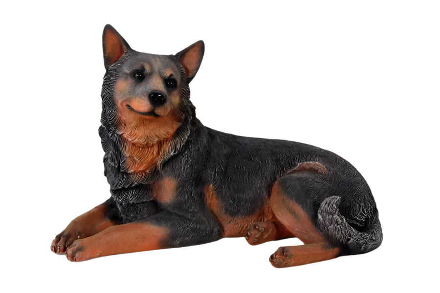 Made to Order: Blue Heeler - Lying Down