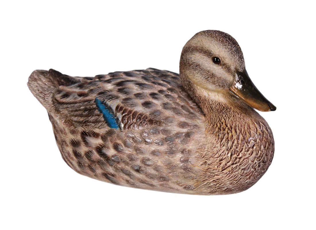 Made to Order: Ph-110020 - Duck-Female Mallard Duck