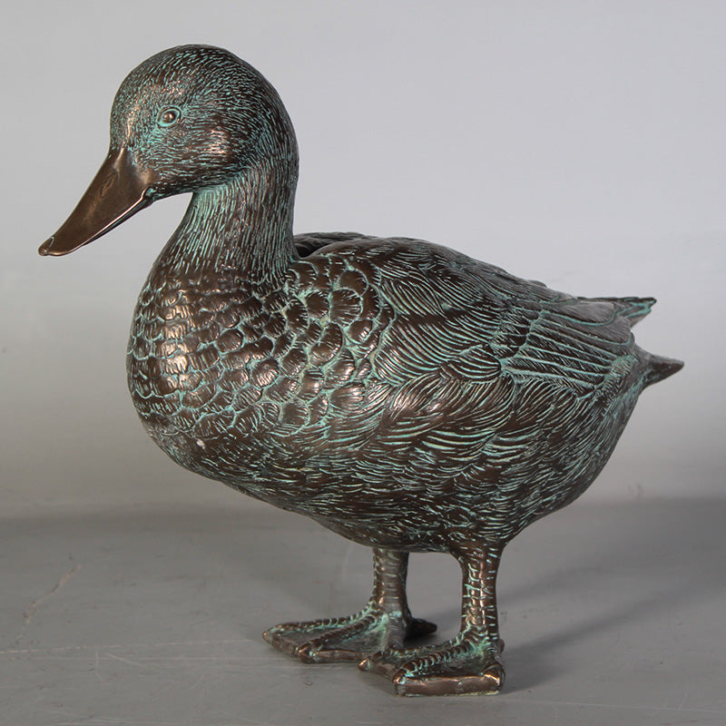 PH Studio: Male Mallard Duck - MOQ 5