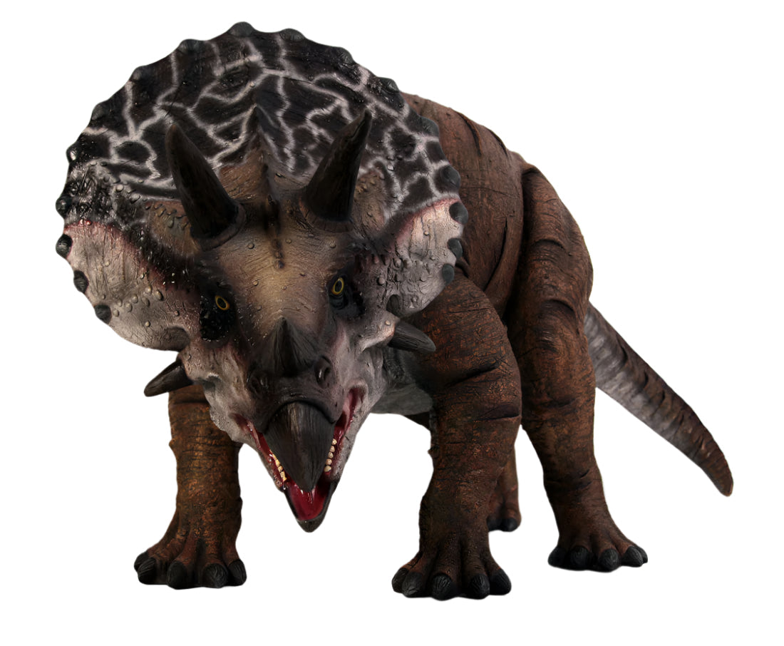 Made to Order: Dinosaur-Definitive Triceratops -Resin/Fibreglass