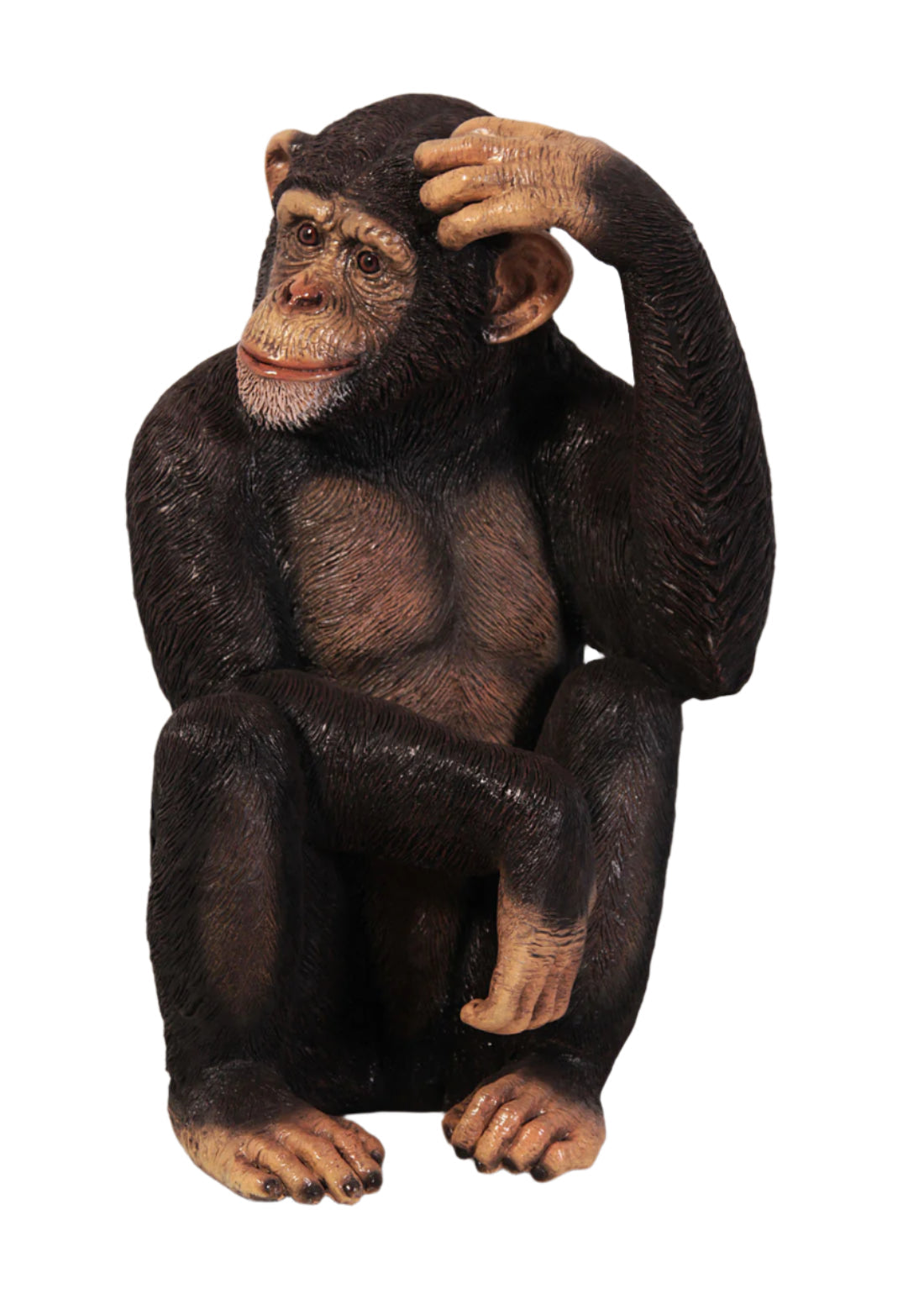 Made to Order: Ph-110026 - Chimpanzee