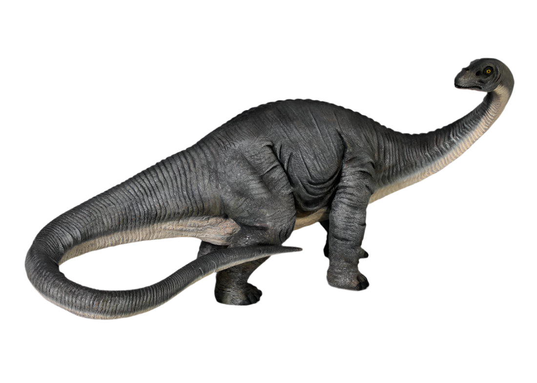 Made to Order: Dinosaur-Apatosaurus Turning Head -Resin/Fibreglass