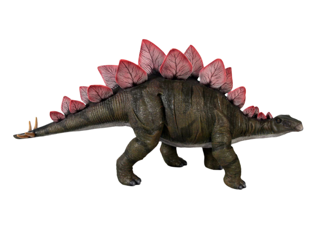 Made to Order: Dinosaur-Definitive Stegosaurus -Resin/Fibreglass