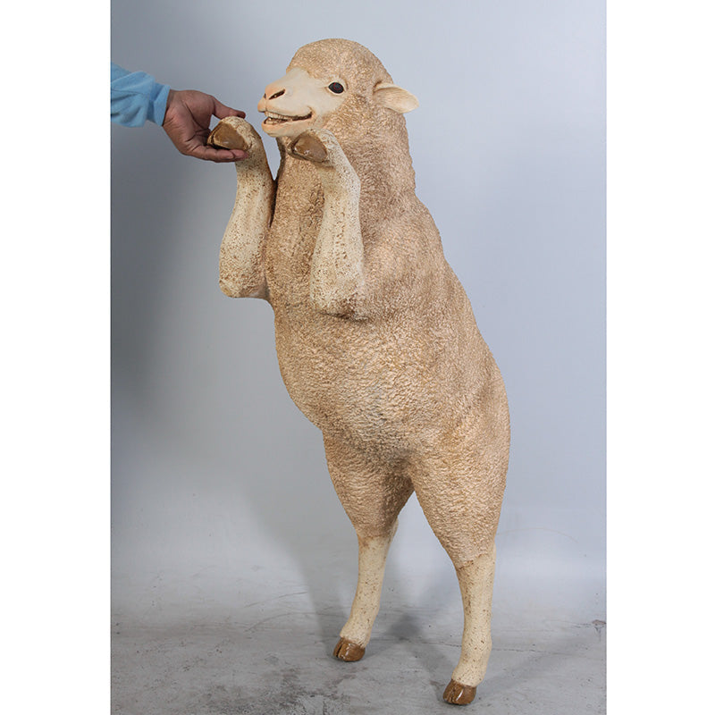 Made to Order: Curious Merino Ewe