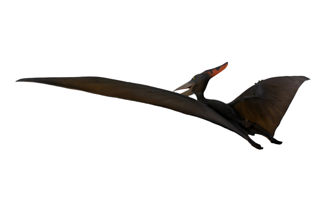 Made to Order: Ph-110062 - Pteranodon Flying