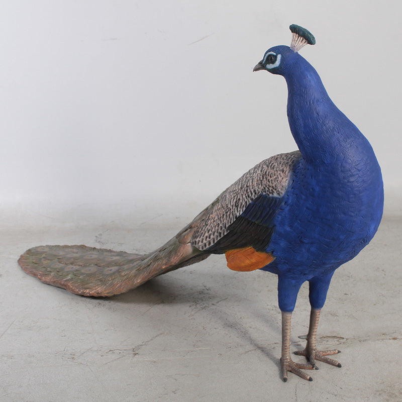 PH Studio: Peacock - MOQ 2