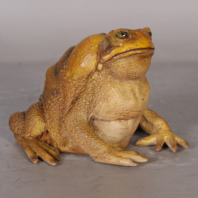 Made to Order: Cane Toad