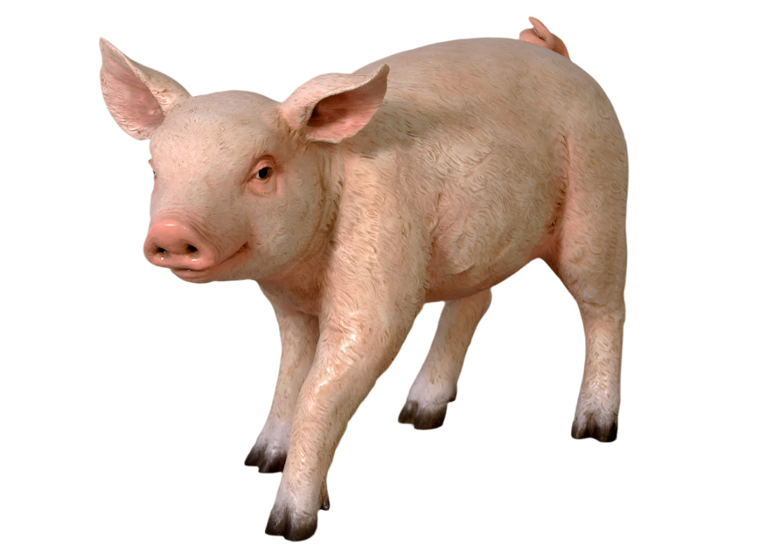 Made to Order: Piglet Chubby