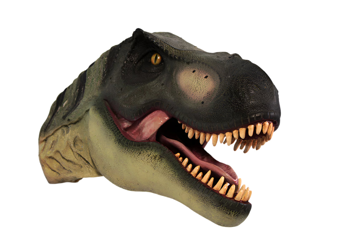 Made to Order: Ph-110085 - Tyrannosaurus Rex Head