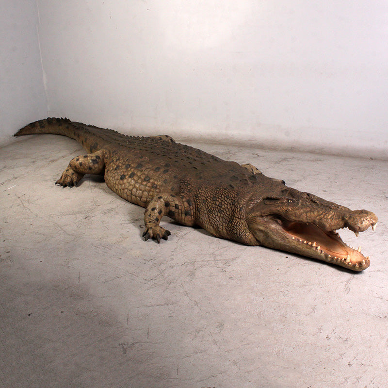 Made to Order: Crocodile 18 ft.
