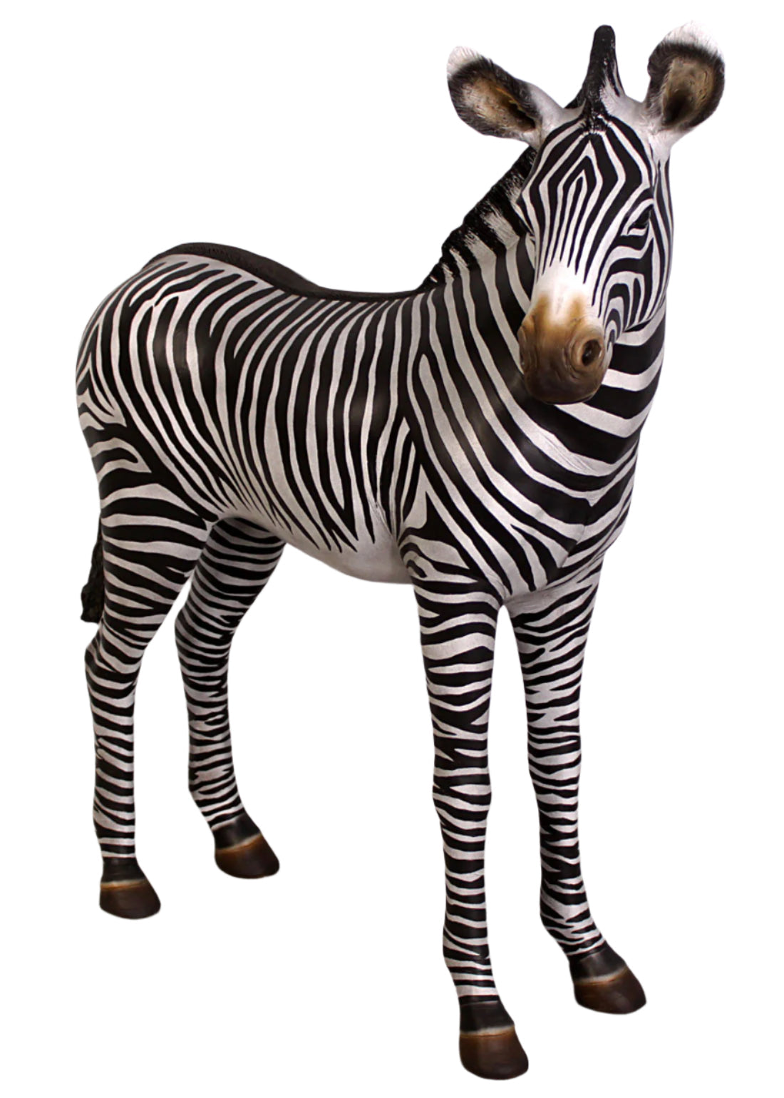 Made to Order: Ph-110099 - Zebra Foal