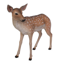 Load image into Gallery viewer, PH Studio: Fallow Deer - Fawn - MOQ 3
