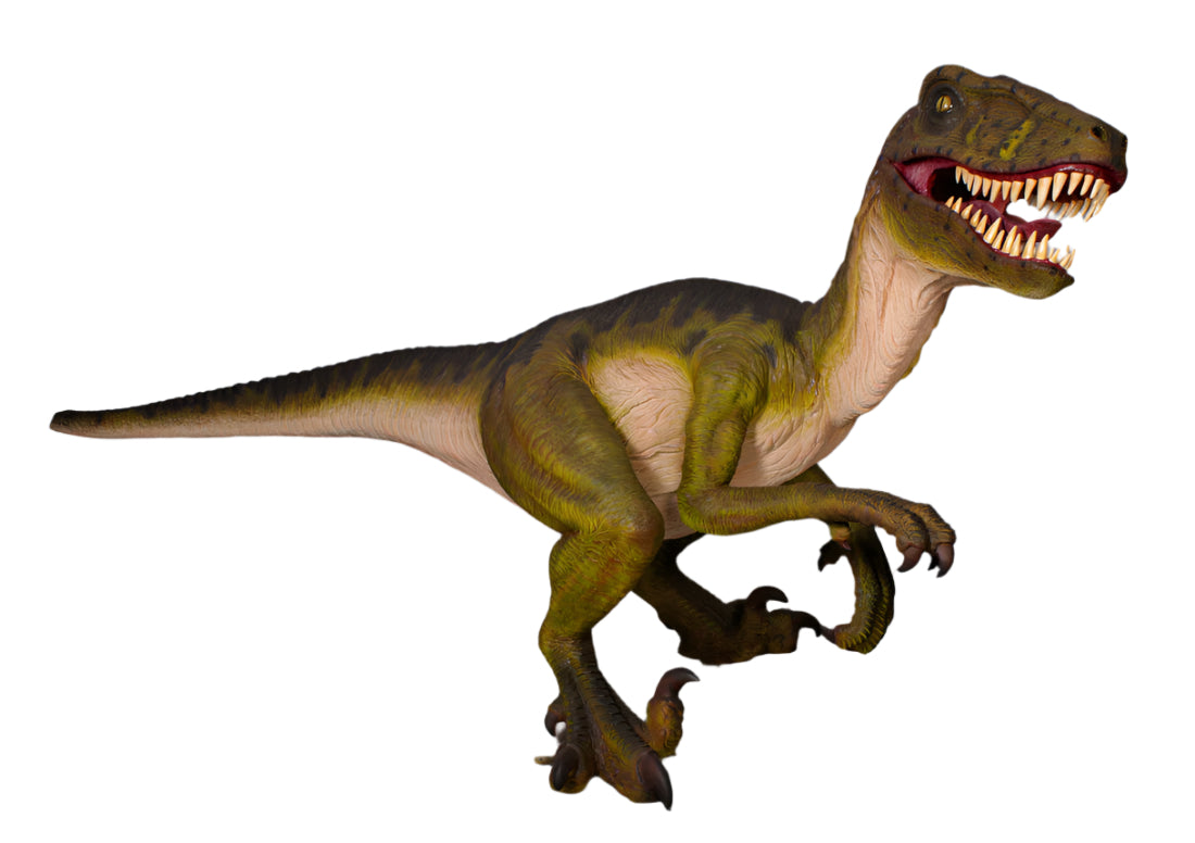 Made to Order: Dinosaur-Dromaeosaurus -Resin/Fibreglass