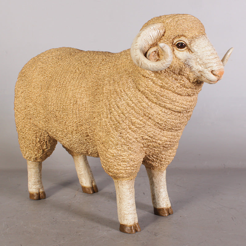 Made to Order: Merino Ram - Small
