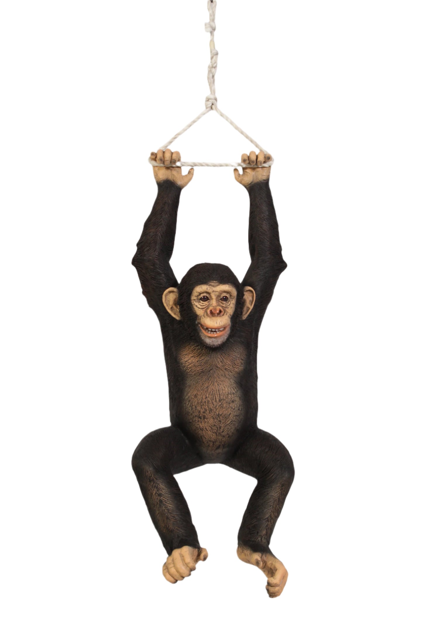 Made to Order: Chimpanzee Hanging