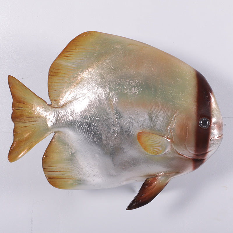 Made to Order: Batfish