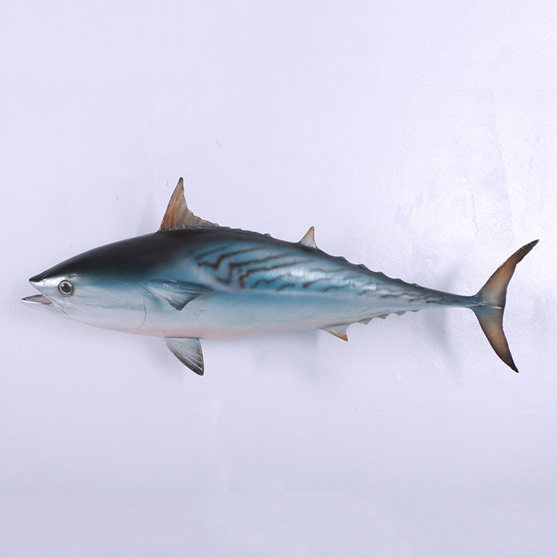 Made to Order: Mackerel Tuna