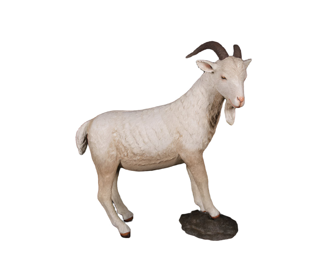 Made to Order: Billy Goat