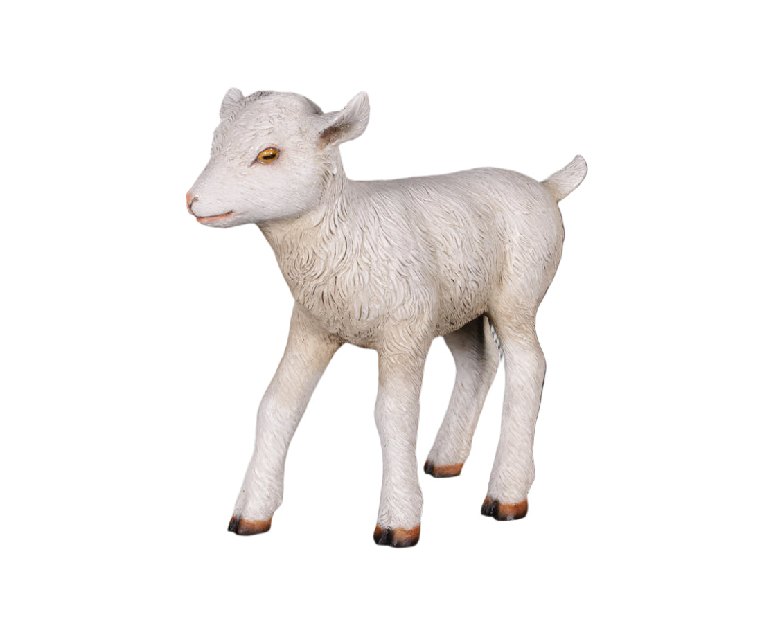 Made to Order: Ph-130014 - Goat- Kid Standing