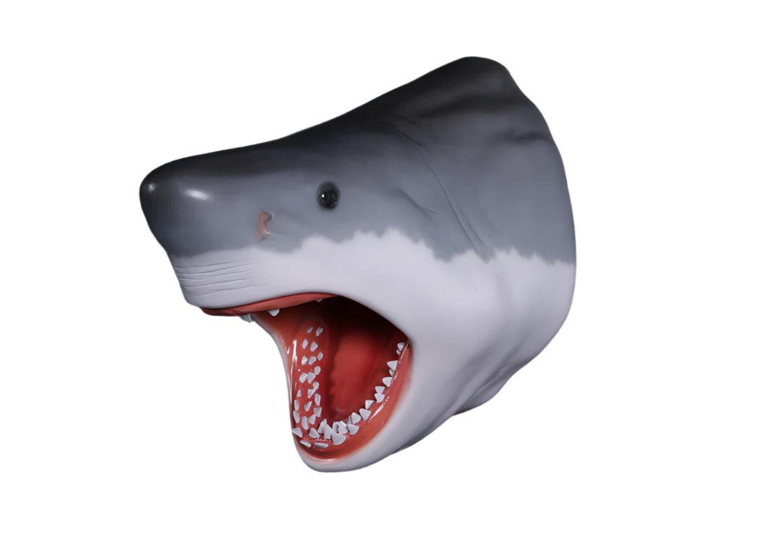 Made to Order: Ph-130046 - Great White Shark Head