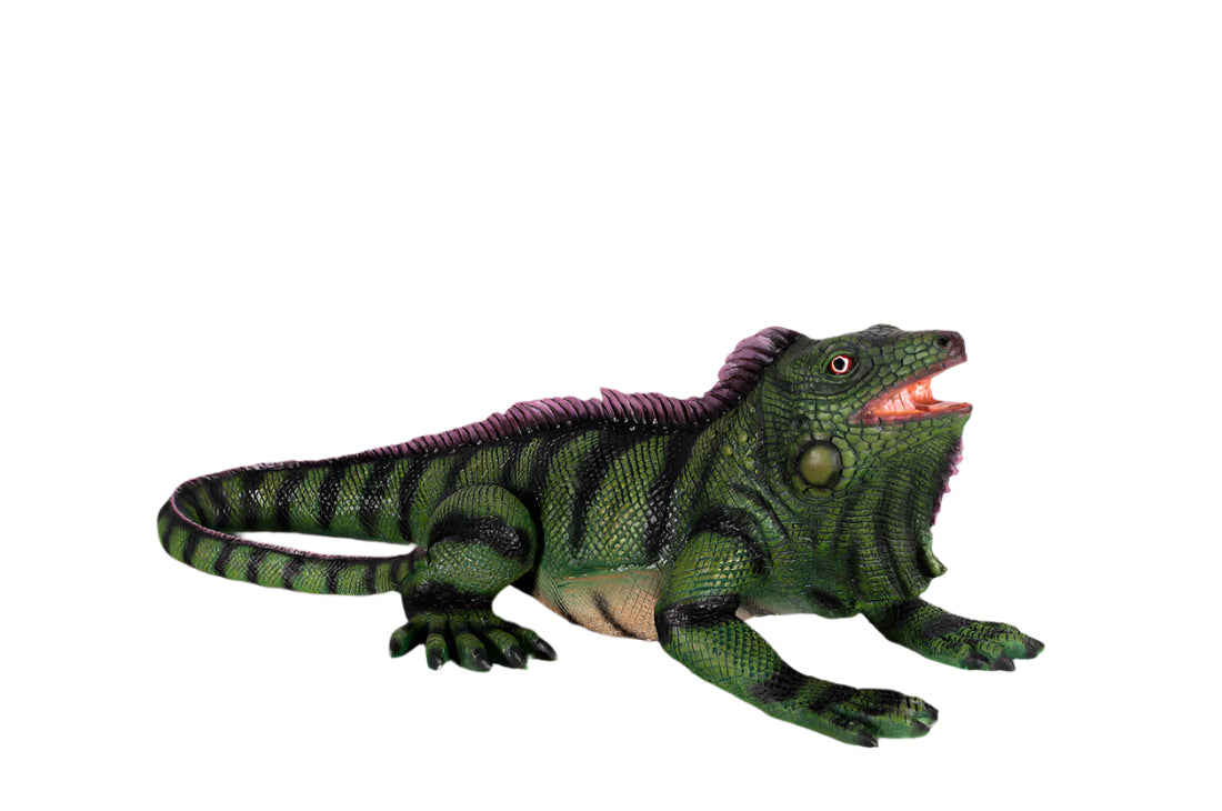Made to Order: Ph-130050 - Green Iguana