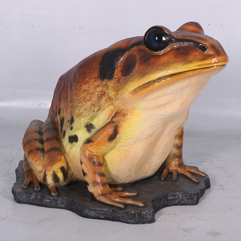 Made to Order: Great Barred Frog