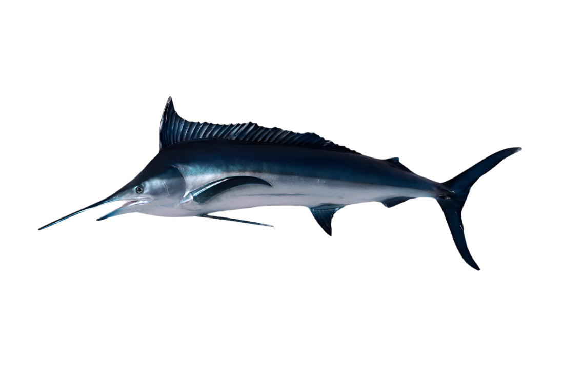 Made to Order: Ph-130078 - Blue Marlin