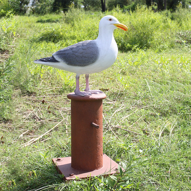 PH Studio: Seagull on Mooring Bollard - MOQ 3