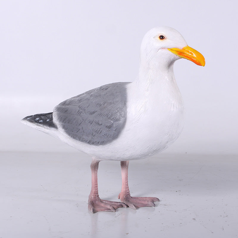 PH Studio: Seagull - MOQ 5