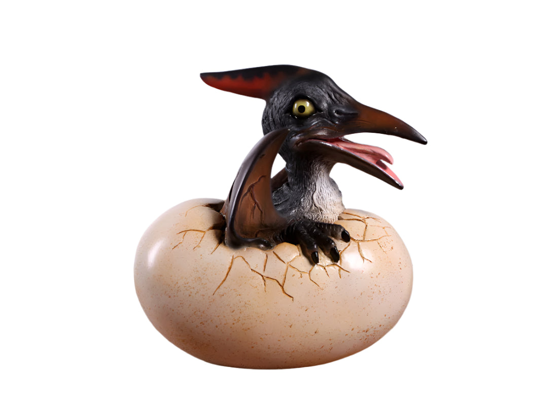 Made to Order: Ph-140037 - Baby Pteranodon Hatching