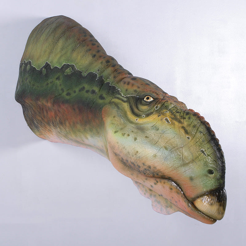 Made to Order: Muttaburrasaurus Head