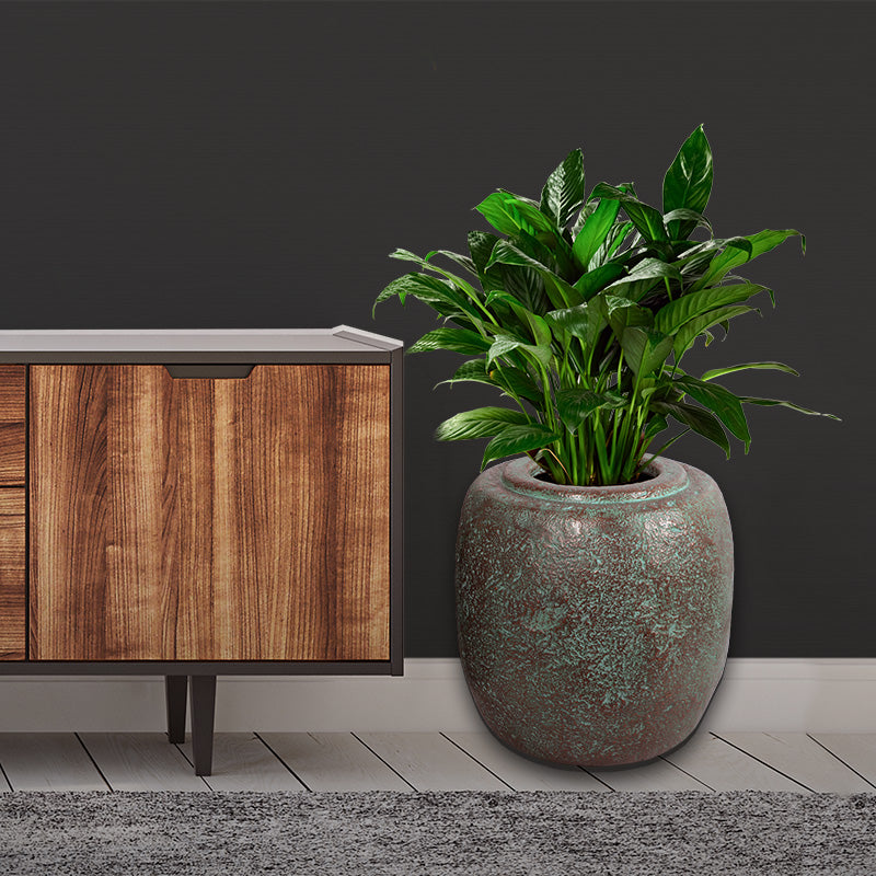 PH Studio: Sagada Jr - MOQ 3