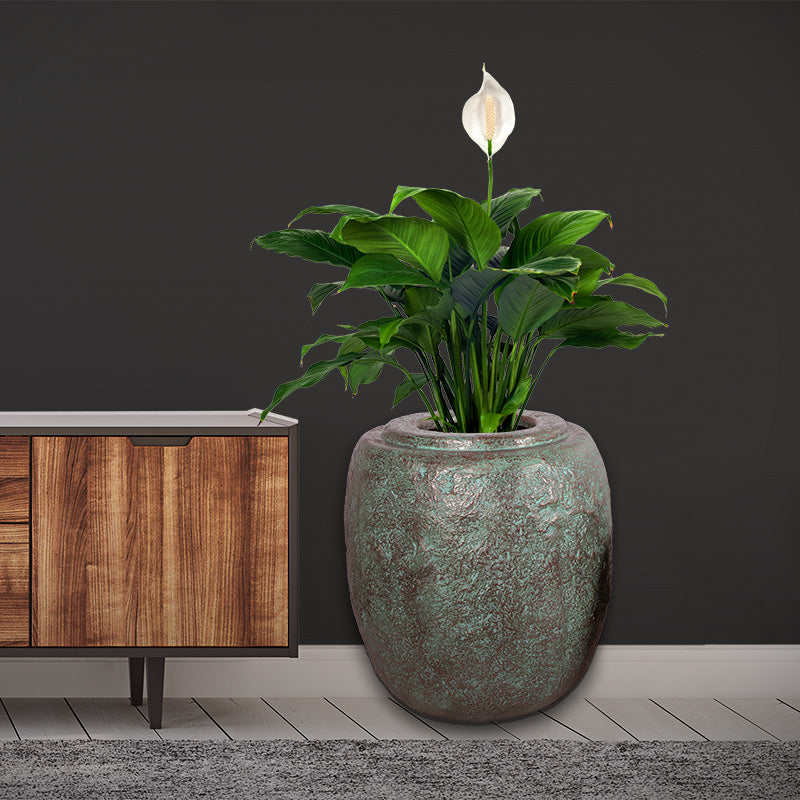 PH Studio: Sagada Large - MOQ 1