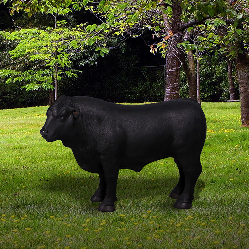 Made to Order: Definitive Angus Looking Left