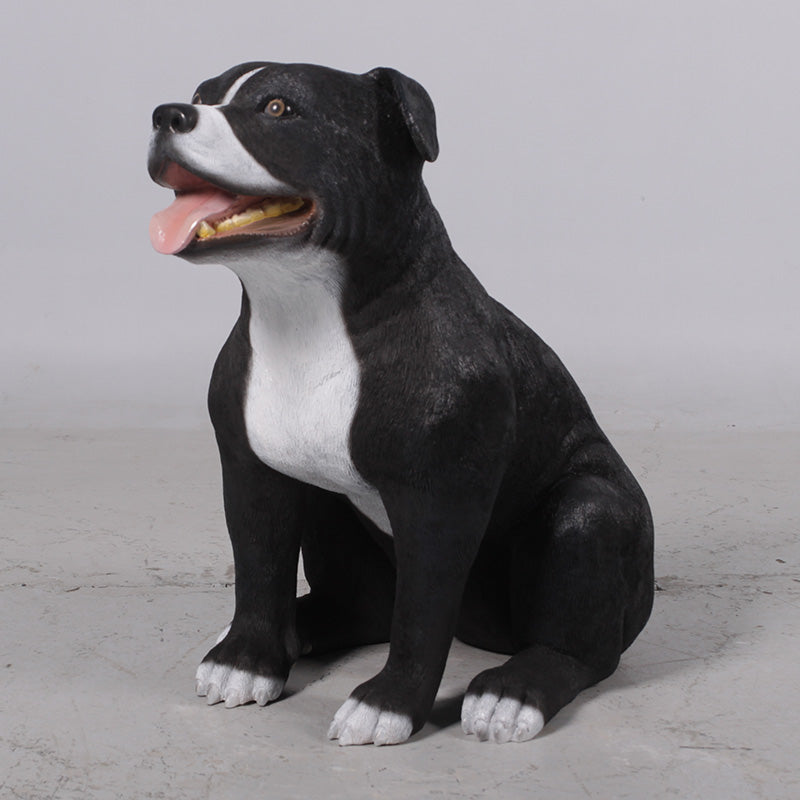 PH Studio: Staffordshire Bull Terrier - MOQ 3