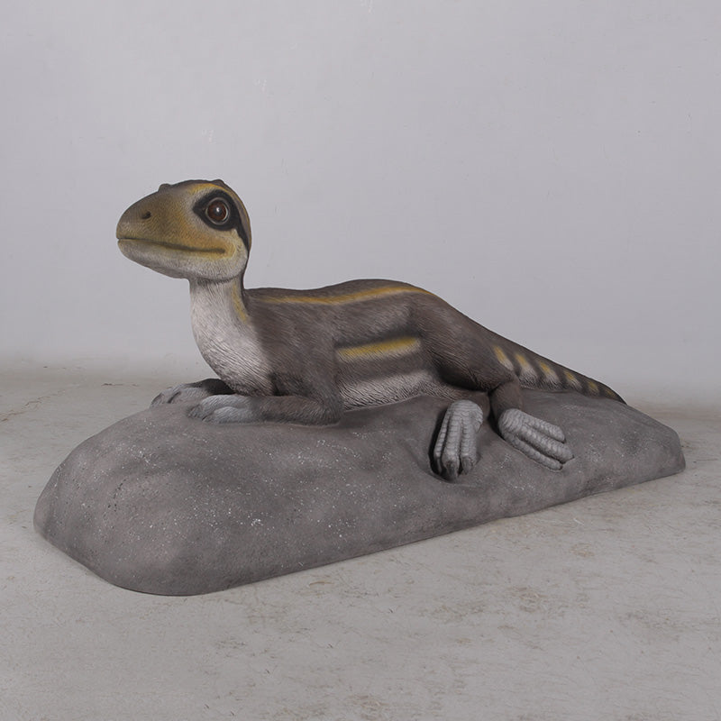 Made to Order: Lying Juvenile Theropod