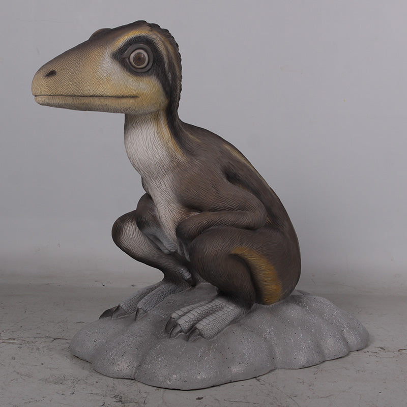 Made to Order: Sitting Juvenile Theropod