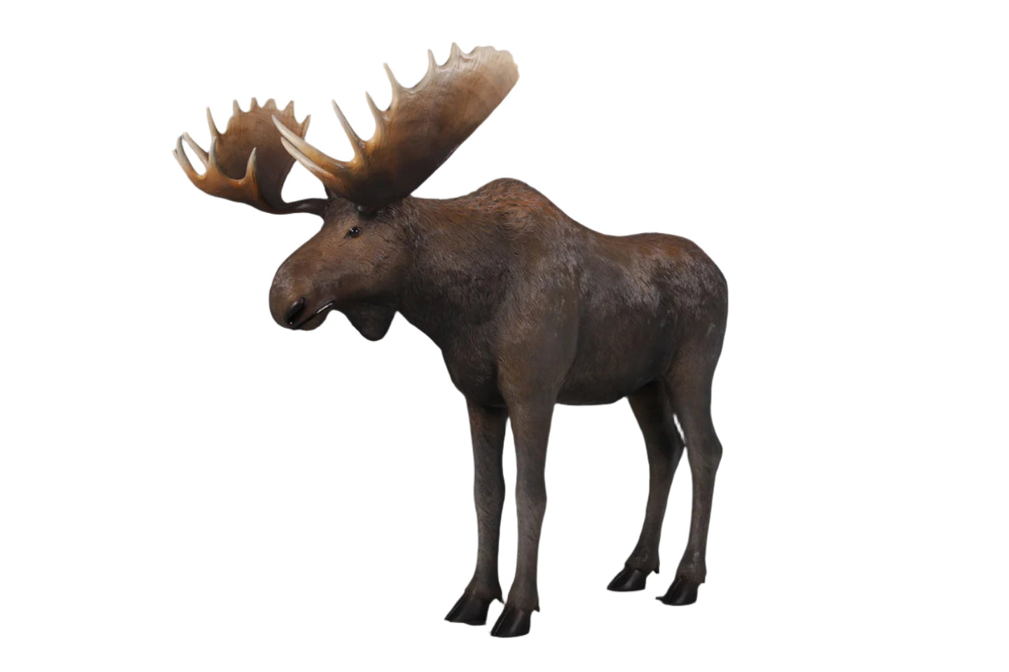 Made to Order: Moose