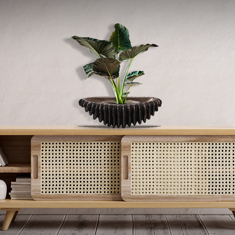 Made to Order: Shell Planter