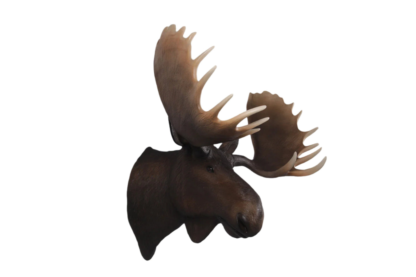 Made to Order: Ph-180023 - Moose Head