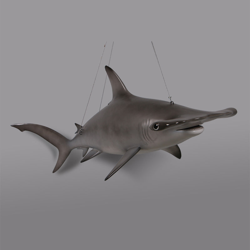 Made to Order: Scalloped Hammerhead Shark 6ft