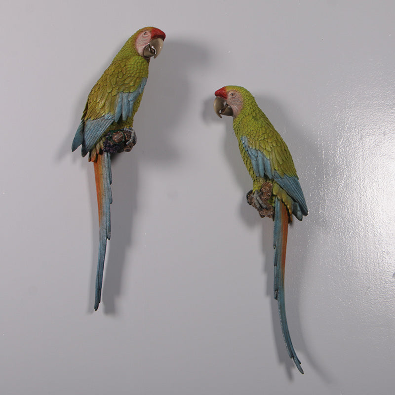 Made to Order: Buffons Macaws - set of 2