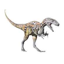Load image into Gallery viewer, Made to Order: Australovenator
