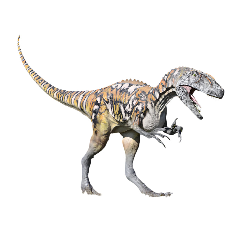 Made to Order: Australovenator