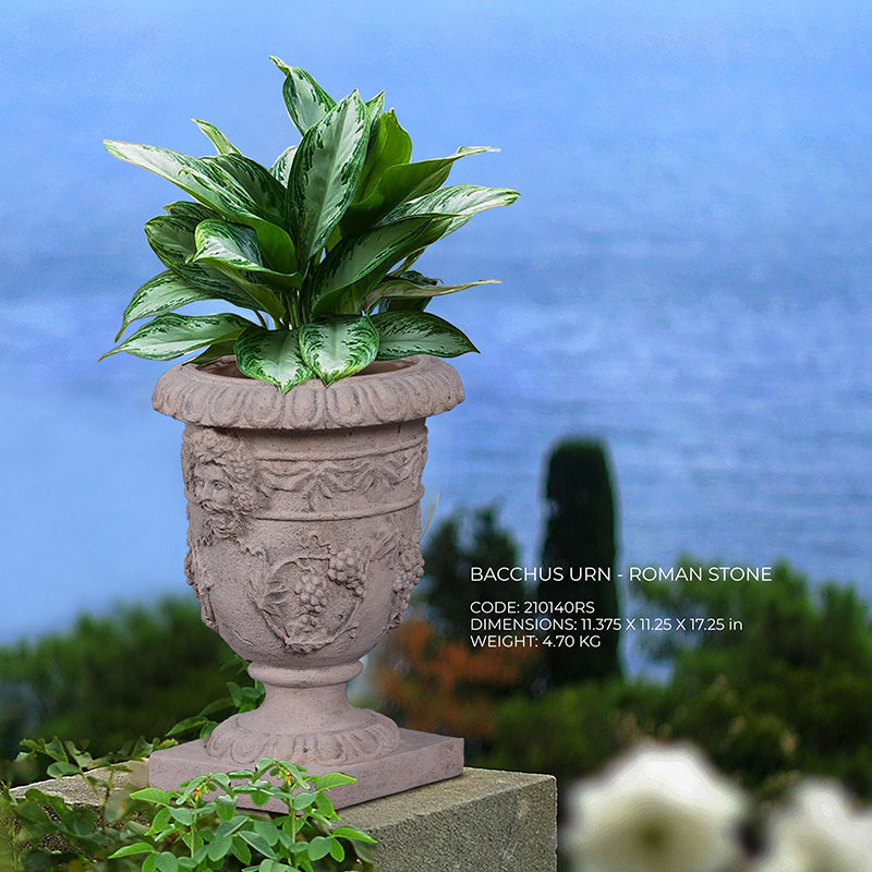 PH Studio: Bacchus Urn - MOQ 10