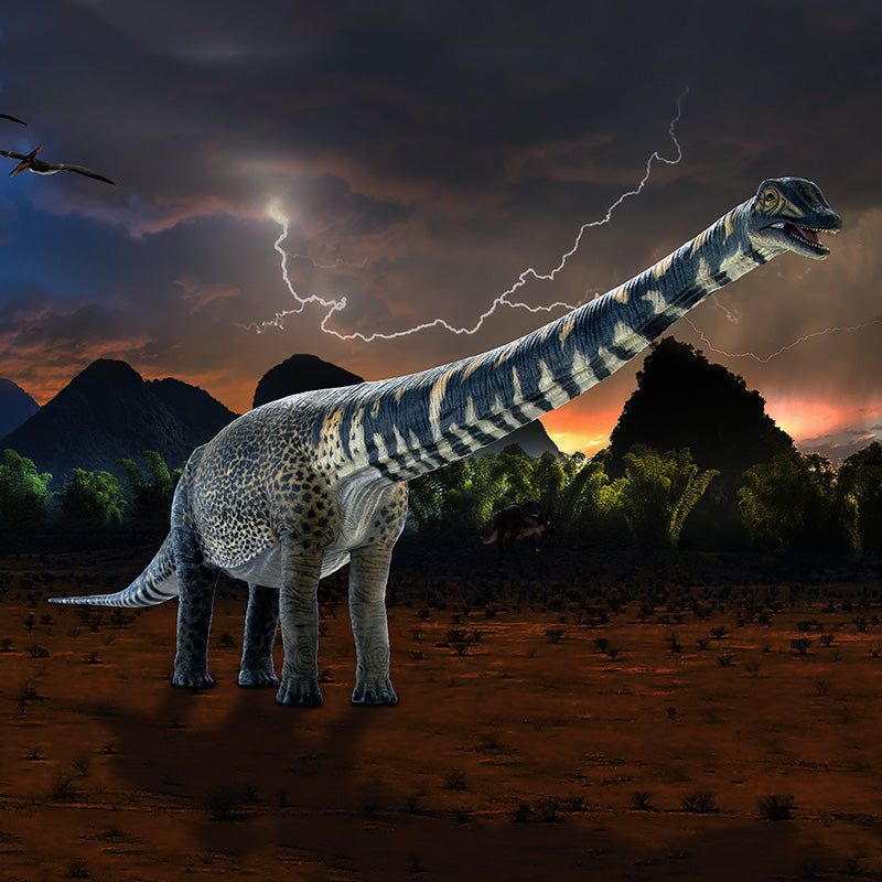 Made to Order: Australotitan