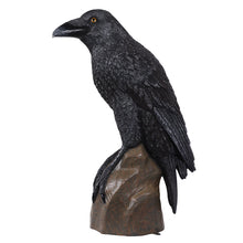 Load image into Gallery viewer, PH Studio: Giant Mystic Night Raven - MOQ 1
