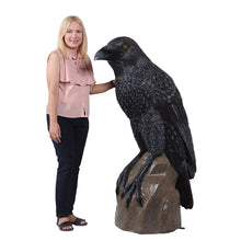 Load image into Gallery viewer, PH Studio: Giant Mystic Night Raven - MOQ 1
