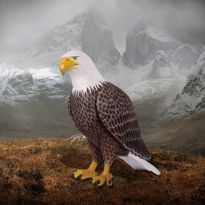 Made to Order: American Bald Eagle