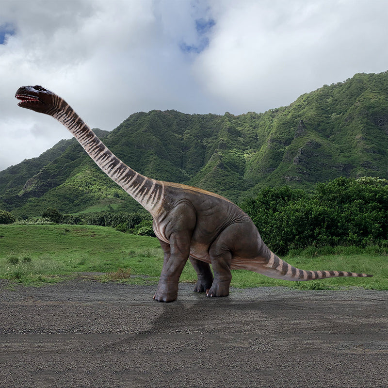 Made to Order: Rhoetosaurus Brownei - Lifesize